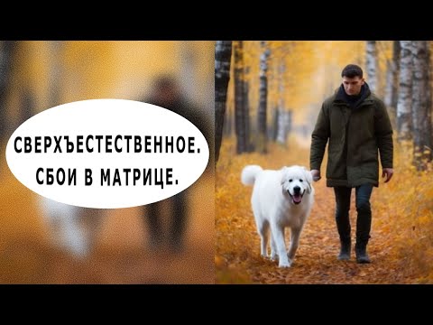 Видео: "В лесу чужого мира". Мистика.