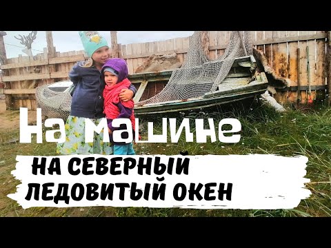 Видео: Мурманск-Териберка: Вот Это Дорога! Тундра! Едем на Северный Ледовитый Океан (Баренцево Море)