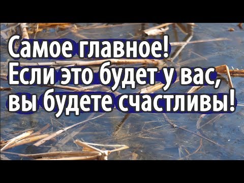 Видео: Как обрести ДУШЕВНЫЙ МИР? Не раздражаться. Пестов