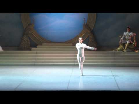 Видео: Иван Васильев, Оксана Бондарева "Спящая красавица" 30-10-2013