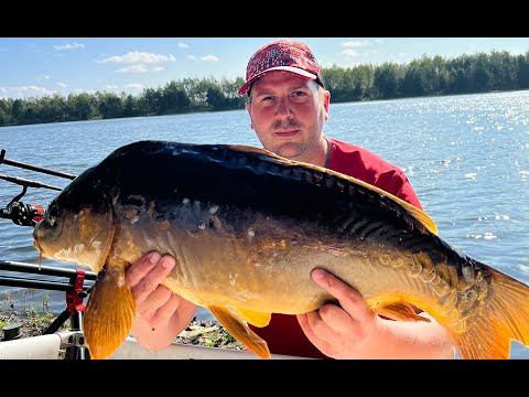 Видео: Риболовля восени: Солодке чи м'ясо? Вирішуємо загадку вподобань коропа