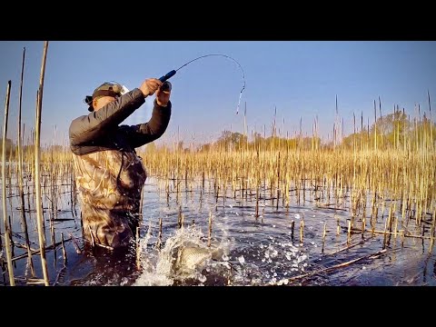 Видео: Ловлю ОГРОМНЫХ КАРАСЕЙ🐟🐟🐟 ПОД НОГАМИ на ЗИМНЮЮ УДОЧКУ🎣🎣🎣!!!