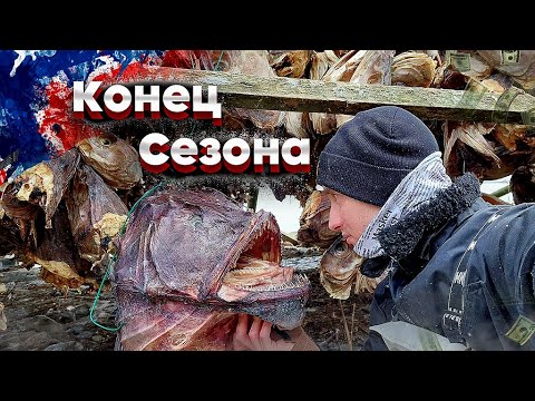 Видео: Конец Рабочего Сезона / Сломалась Машина по Дороге ДОМОЙ! Работаю на РЫБНОЙ Фабрике в НОРВЕГИИ!