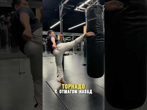 Видео: 7 ноября 2025 г.