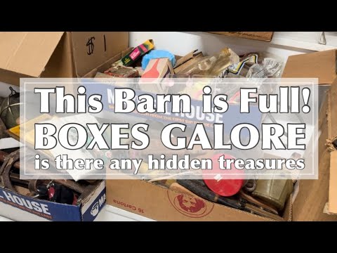 Видео: РАСПРОДАЖА АМБАРНЫХ ИЗДЕЛИЙ, НЕПОВТОРИМАЯ! Неожиданные примитивные находки: аукцион Barn Sale