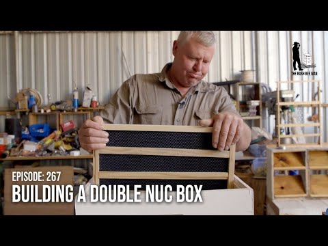 Видео: Как построить улей для пчёл: осмотр яиц пчелиной матки в процессе выращивания | The Bush Bee Man