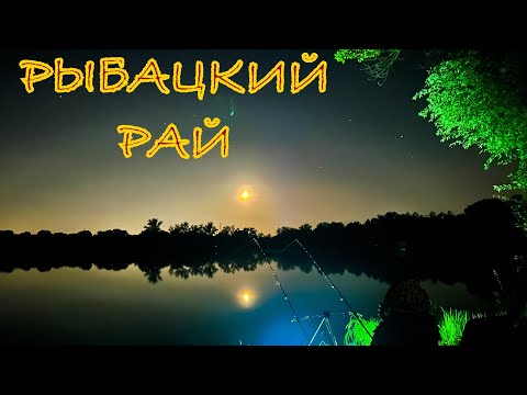 Видео: Рыбалка с Ночёвкой‼️Лещи Лапаты‼️
