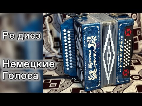 Видео: Тульская гармонь на немецких голосах Ре Диез