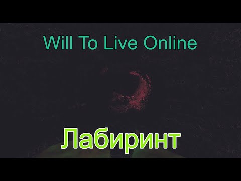 Видео: Will To Live Online: Лабиринт. Карта, артефакт Диск, NDP камни и кристаллы.