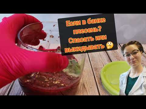 Видео: Плесень в варенье, можно ли спасти? Наглядный ответ микробиолога🤓