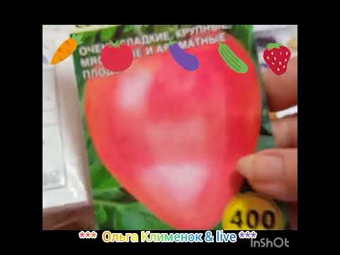Видео: Готовлюсь к весне,обзор семян из Валдберис 🥬🥦🥒🥕🌶️🍓🍅❤️