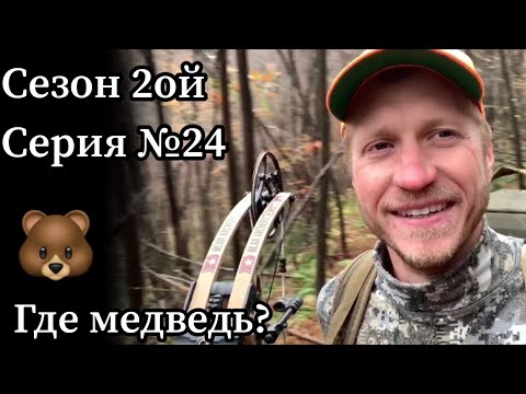 Видео: Охота на медведя в штате Мэриленд. Последний день.