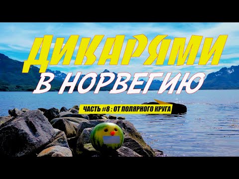 Видео: Дикарями в НОРВЕГИЮ #8 - C Лофотенов через Заполярье