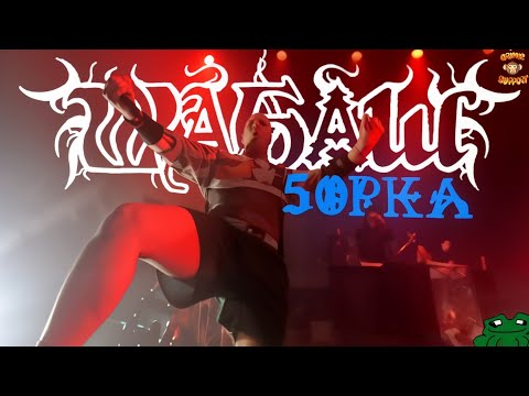 Видео: Влог с ШАБАША 09.02.24