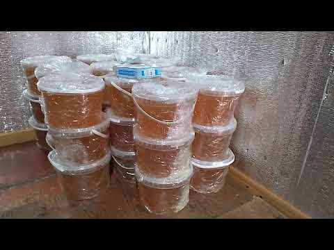Видео: Полный отчёт по откачке мёда..  Я очень даволен результатом..! 😉😊