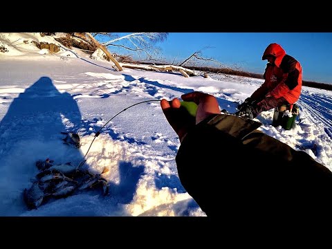 Видео: В ЭТИХ КОРЯГАХ РЫБА СЛОЯМИ СТОИТ!!Рыбалка на Оби с ночевкой, безмотылка. Плотва,лещ,окунь.