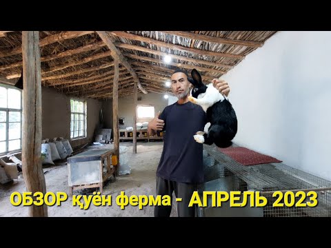 Видео: ОБЗОР қуён ферма - АПРЕЛЬ 2023