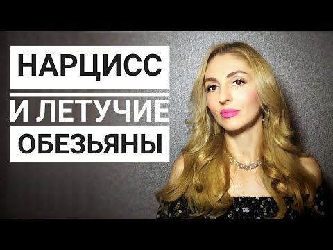 Видео: 🔺Нарциссы и Летучие обезьяны🔻