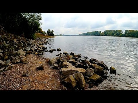 Видео: Фидерная рыбалка на большой реке. (часть 1)