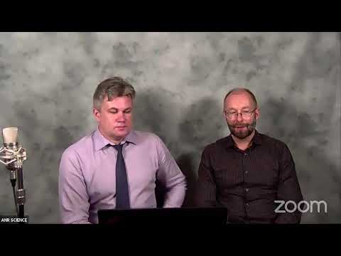 Видео: Гипергонадотропный гипогонадизм. В чем ошибка?