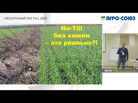 Видео: 16 лет No-Till без химии в хозяйстве Усовых