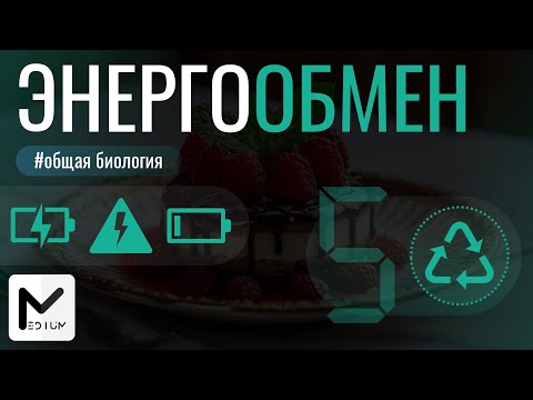 Видео: Энергетический обмен / ЕГЭ по биологии