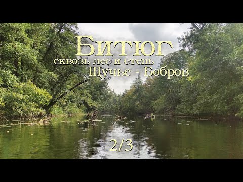Видео: [2/3] Сплав по реке Битюг, сентябрь 2023