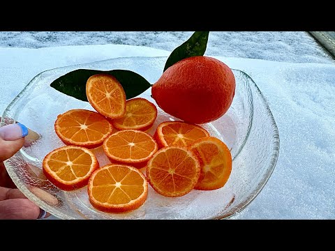 Видео: Мандаринкват Индио 🍊🍋 Indio mandarinquat .