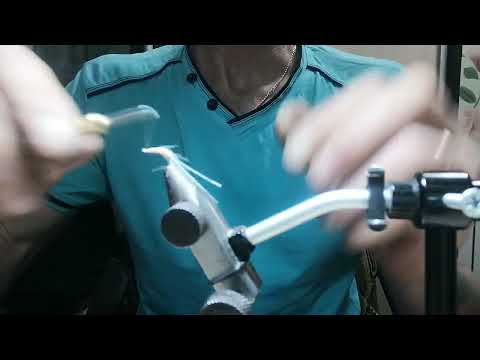 Видео: рачок Макрогектопус