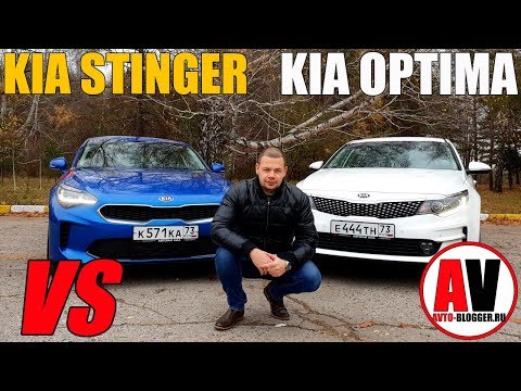 Видео: KIA OPTIMA и KIA STINGER - ПОСТАВИЛИ РЯДОМ