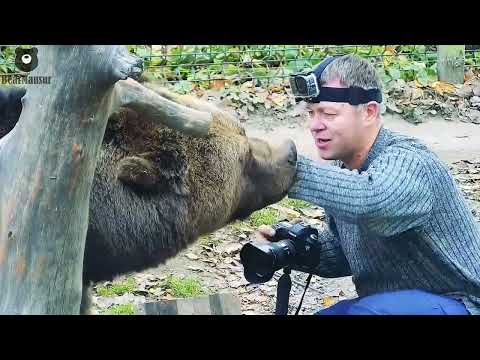 Видео: Ягодки для мишки-лакомки🐻🍒