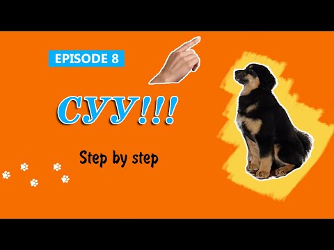 Видео: Нохой сургах арга #8 | Нохойг суулгаж сургах | How to Teach your Puppy to Sit and Stay|강아지에게 앉아 가르치기