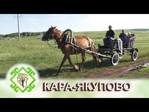 Видео: ТОРМОШ. Село Кара-Якупово Чишминский район