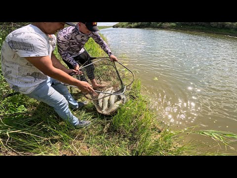 Видео: ТАКАЯ РЫБАЛКА ТОЛЬКО СНИТСЯ РЫБАКАМ! РЕКОРДНЫЙ УЛОВ В ТОРГАЕ 2025