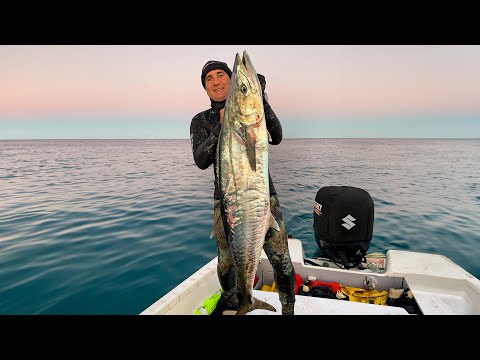 Видео: Случалось ли подобное раньше во время подводной охоты в Австралии?