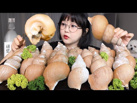 Видео: Приготовленные на пару морские улитки и рюмка соджу🐚Mukbang ASMR