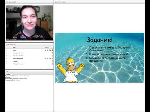 Видео: Вебинар "Коррекция нежелательного поведения в АВА" (2018 год)