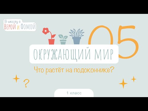 Видео: Что растёт на подоконнике? Окружающий мир, урок 5. 1 класс (аудио). В школу с Верой и Фомой (6+)