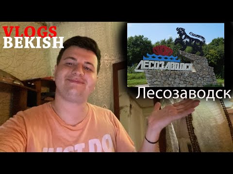 Видео: Мы уезжаем к бабушке Лины