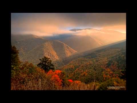 Видео: Пиленце, пъстро славейче | Pilence pustro slaveiche