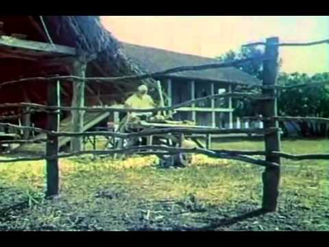 Видео: Железное дерево (1971)
