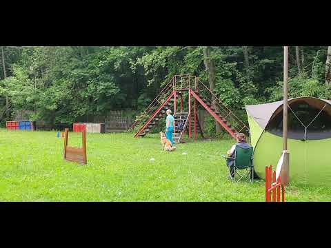 Видео: Феникс сдача обидиенс-1, 308,5 баллов