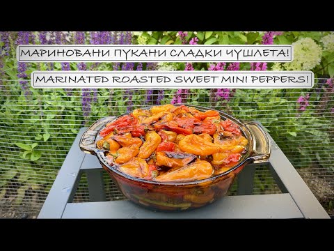 Видео: Мариновани пукани сладки чушлета! ❖ Marinated Roasted Sweet Mini Peppers!