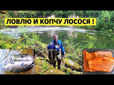 Видео: ПРОДОЛЖАЮ ЛОВИТЬ ЧАВЫЧУ. КАК КОПТИТЬ ЛОСОСЬ ГОРЯЧИМ СПОСОБОМ НА ГРИЛЕ.