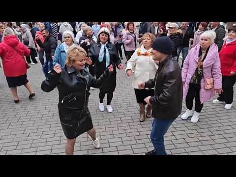 Видео: 12.10.24г..."Недотрога"...Алексей Раджабов... звучит на танцполе в Гомеле...