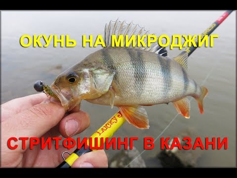 Видео: Окунь на микроджиг. Казань. Городская рыбалка.