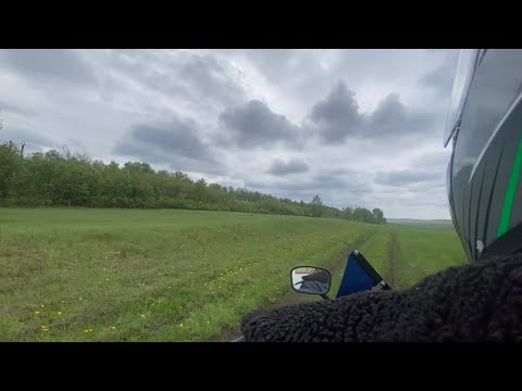 Видео: 16 мая 2025 г.