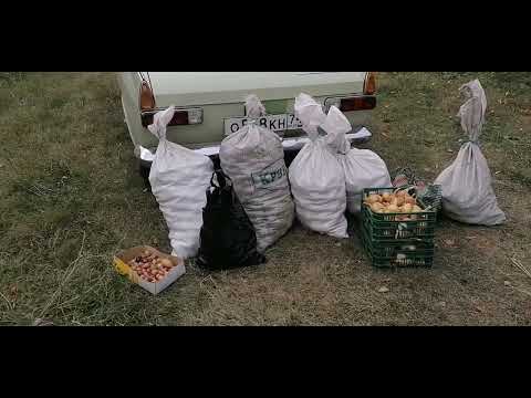 Видео: Москвич 412 путешествие в Курганскую область