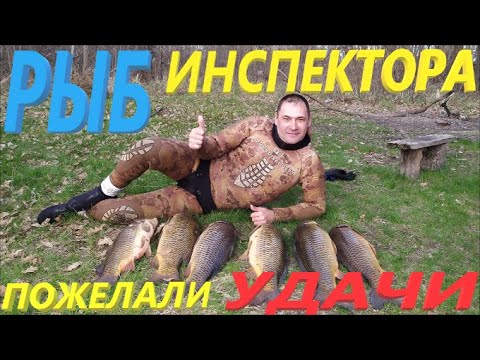 Видео: ПОДВОДНАЯ ОХОТА НА САЗАНА ВЕСНОЙ ДАРЫ ВОЛГИ 2021 год.