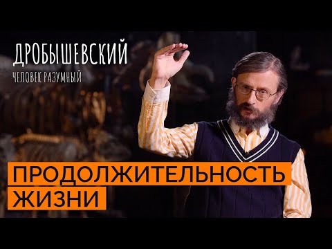 Видео: Сколько лет жили наши предки? // Дробышевский. Человек разумный